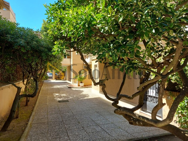 Monolocale in Affitto a Roma, zona Ostia, 450&euro;, 30 m², arredato