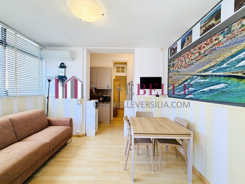Bilocale in Affitto a Camaiore, zona Lido di Camaiore, 3'000&euro;, 30 m², arredato