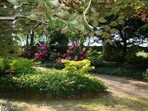 Quadrilocale in Vendita a Coriano, 480'000&euro;, 250 m²