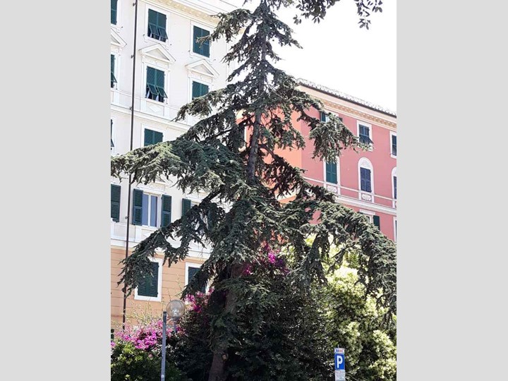 Appartamento in Vendita a Genova, zona Carignano, 420'000&euro;, 129 m²