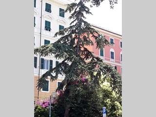 Appartamento in Vendita a Genova, zona Carignano, 420'000&euro;, 129 m²
