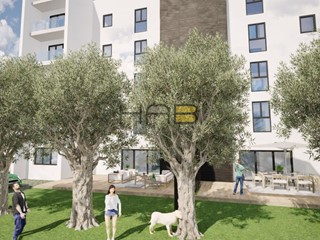 Appartamento in Vendita a Erice, 