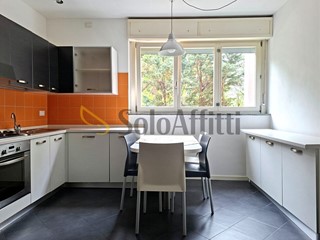 Bilocale in Affitto a Monza, zona RondÃ² dei pini, 600&euro;, 52 m², arredato