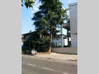 Bilocale in Affitto a Parma, zona Lubiana, 900&euro;, 55 m², arredato, con Box