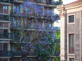 Appartamento in Affitto a Catania, 950&euro;, 121 m²