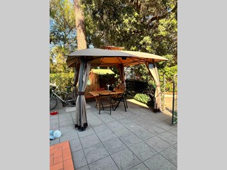 Monolocale in Affitto a Cecina, 500&euro;, 30 m²