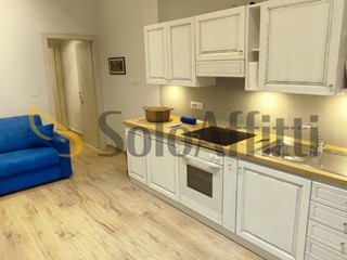 Bilocale in Affitto a Torino, zona Cenisia, 700&euro;, 45 m², arredato