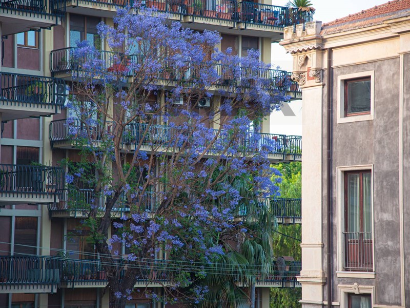 Appartamento in Affitto a Catania, 850&euro;, 121 m²