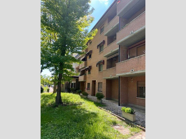 Trilocale in Affitto a Ferrara, 550&euro;, 62 m²