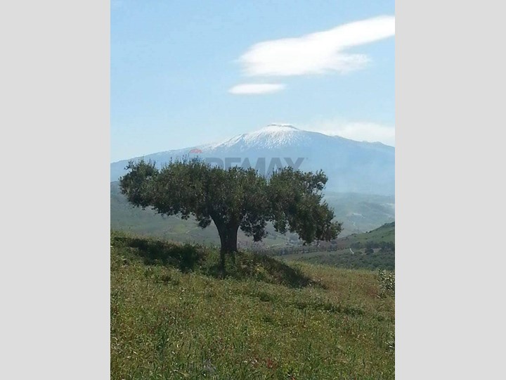 Appartamento in Vendita a Troina, 450'000&euro;, 500 m²