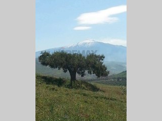 Appartamento in Vendita a Troina, 450'000&euro;, 500 m²