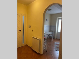 Appartamento in Affitto a Viareggio, zona Viareggio, 1'500&euro;, 70 m², arredato