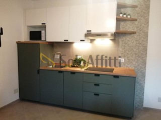 Trilocale in Affitto a Moncalieri, 700&euro;, 55 m², arredato