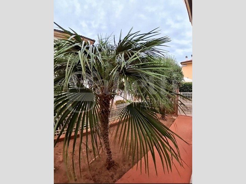 Quadrilocale in Vendita a Follonica, 250'000&euro;, 71 m², con Box