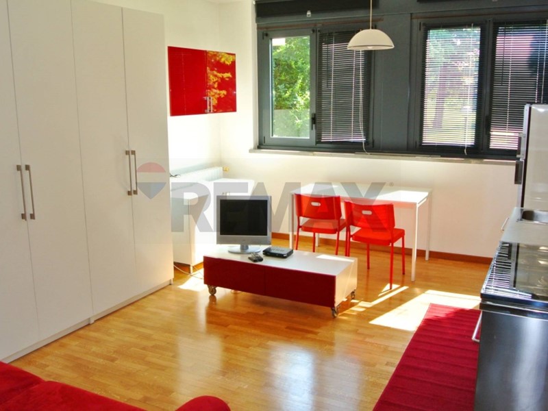 Monolocale in Affitto a Segrate, 850&euro;, 40 m²