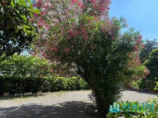 Quadrilocale in Affitto a Milano, 2'900&euro;, 94 m²