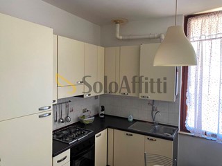 Bilocale in Affitto a Collesalvetti, zona Stagno, 800&euro;, 45 m², arredato