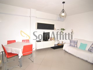 Trilocale in Affitto a Livorno, zona Scopaia - Leccia, 900&euro;, 60 m²