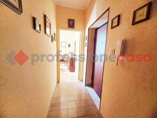 Bilocale in Affitto a Aquino, 330&euro;, 50 m², arredato