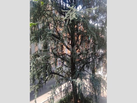 Bilocale in Affitto a Milano, 850&euro;, 55 m², arredato