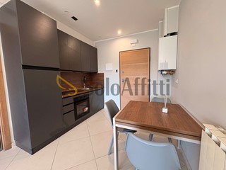 Monolocale in Affitto a Siena, zona Cerchiaia Massettana Romana, 550&euro;, 35 m², arredato