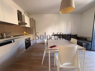 Bilocale in Affitto a Siena, zona Fuori Porta Ovile, 900&euro;, 60 m², arredato
