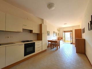 Monolocale in Affitto a Catanzaro, 300&euro;, 35 m²