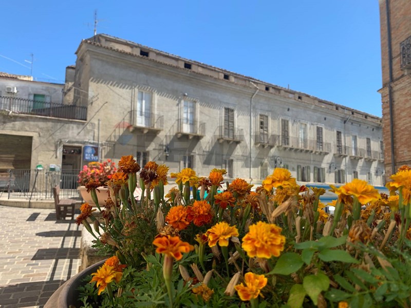 Appartamento in Vendita a Scerni, 350'000&euro;, 2793 m²