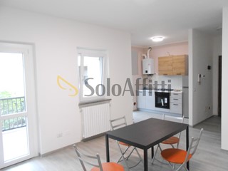 Trilocale in Affitto a Pavia, zona Borgo Ticino nuovo, 940&euro;, 90 m², arredato, con Box
