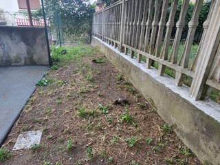 Bilocale in Vendita a Gallarate, 89'000&euro;, 85 m²