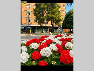 Attico in Vendita a Teramo, 150'000&euro;, 140 m²