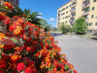 Trilocale in Vendita a Napoli, 237'000&euro;, 80 m²