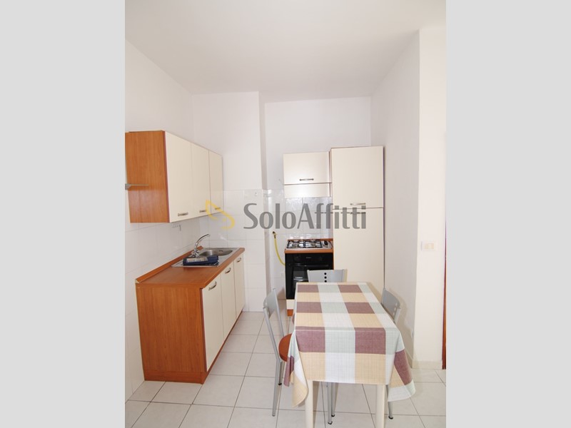 Bilocale in Affitto a Collesalvetti, zona Stagno, 600&euro;, 40 m², arredato