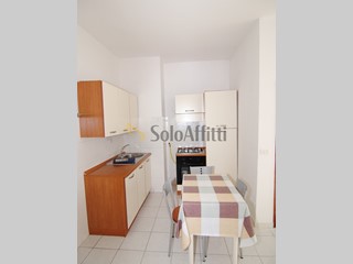 Bilocale in Affitto a Collesalvetti, zona Stagno, 600&euro;, 40 m², arredato