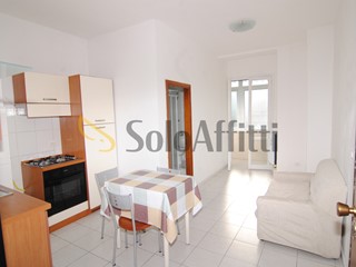 Bilocale in Affitto a Collesalvetti, zona Stagno, 600&euro;, 40 m², arredato