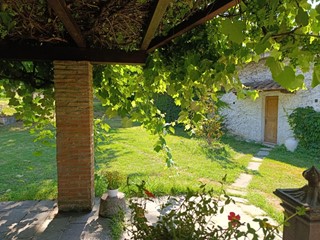 Bilocale in Affitto a Calcinaia, 750&euro;, 40 m², arredato