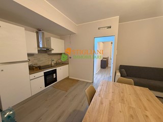 Bilocale in Affitto a Campobasso, 700&euro;, 60 m²