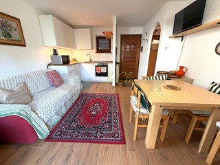 Bilocale in Affitto a Courmayeur, zona Entreves, 1'200&euro;, 55 m², arredato, con Box