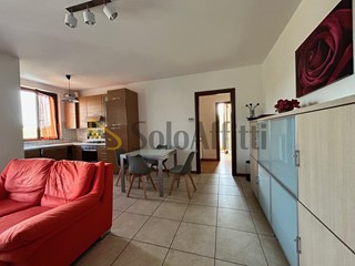 Trilocale in Affitto a Siena, zona Ponte al Bozzone, 700&euro;, 70 m², arredato
