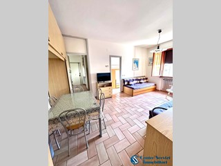 Bilocale in Vendita a Pisa, zona Marina di Pisa, 250'000&euro;, 60 m², arredato