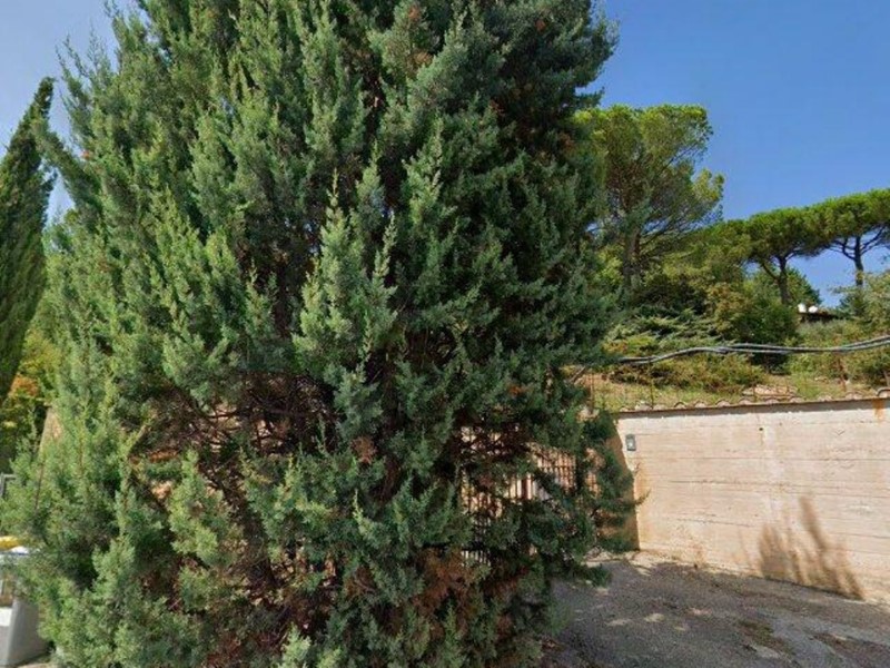 Quadrilocale in Vendita a Perugia, 243'000&euro;, 315 m²