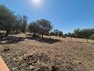 Trilocale in Vendita a Grosseto, 245'000&euro;, 78 m², arredato