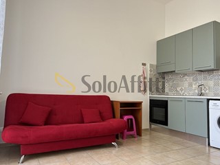 Monolocale in Affitto a Pavia, zona Ponte di Pietra, 400&euro;, 30 m², arredato