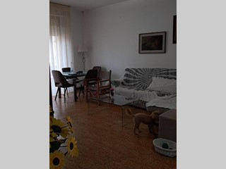 Appartamento in Vendita a Cascina, 159'000&euro;, 125 m², con Box