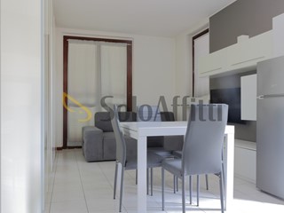 Monolocale in Affitto a Desio, zona Parco, 500&euro;, 45 m², arredato