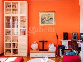 Trilocale in Vendita a Belluno, 160'000&euro;, 111 m², arredato, con Box