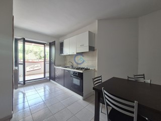 Bilocale in Affitto a Borgia, zona Roccelletta di Borgia, 450&euro;, 50 m², arredato