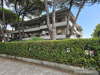 Trilocale in Vendita a Massa, zona Marina Di Massa, 280'000&euro;, 50 m², arredato