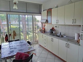 Monolocale in Vendita a Bibbona, zona Marina di Bibbona, 120'000&euro;, 40 m², arredato