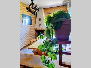 Bilocale in Vendita a Trevi nel Lazio, 25'000&euro;, 40 m²